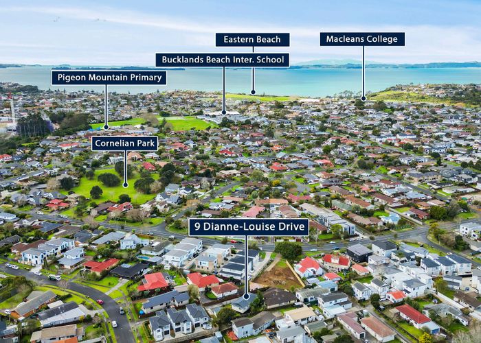  at 9 Dianne Louise Drive, Half Moon Bay, Manukau City, Auckland