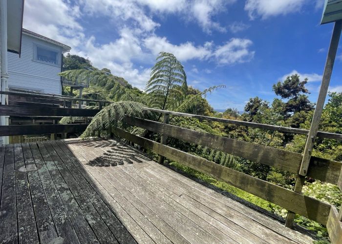  at 15 Moffitt Street, Vogeltown, Wellington, Wellington