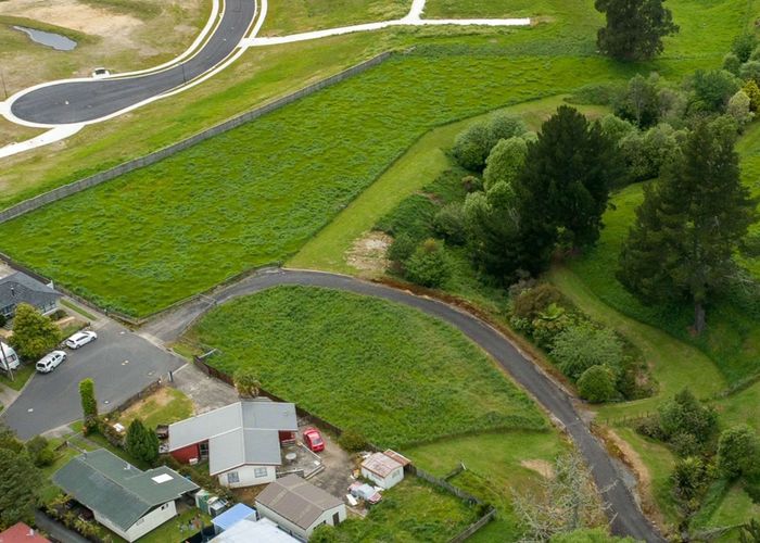  at 31 Diamond Lane, Albany