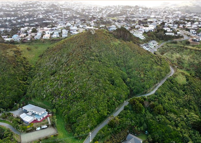  at 166 Glanmire Road, Newlands, Wellington
