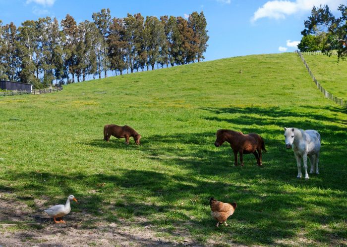  at 243 Clevedon-Kawakawa Road, Clevedon, Manukau City, Auckland
