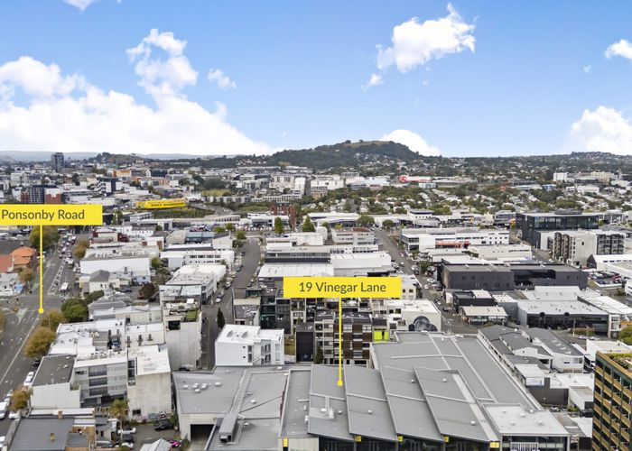  at 19 Vinegar Lane, Grey Lynn, Auckland City, Auckland