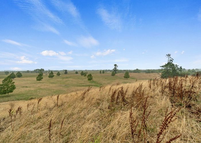  at 56 Onion Road, Te Kowhai, Waikato, Waikato