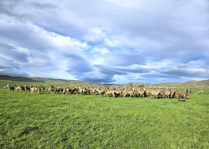  at 580 Crawford Hills Road, Alexandra, Central Otago, Otago