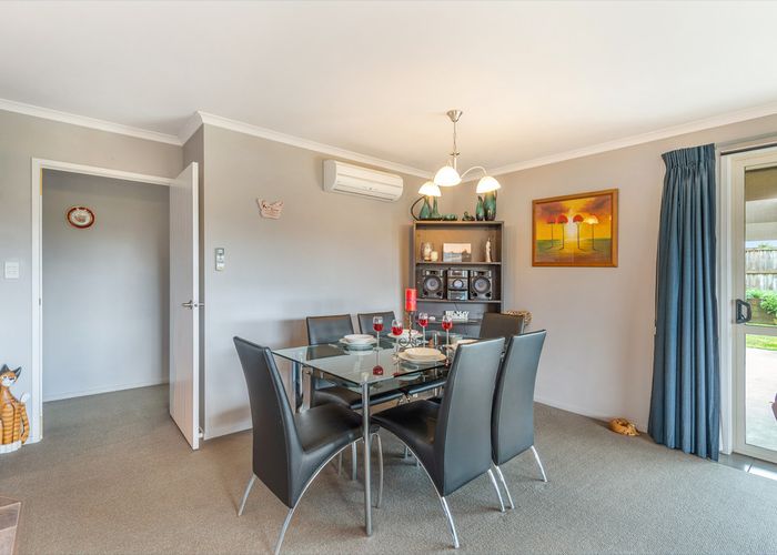  at 7 Burmester Place, Morrinsville, Morrinsville