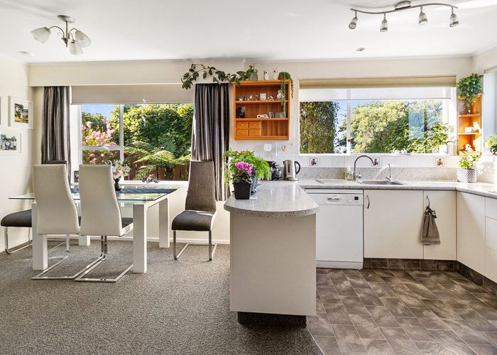  at 17 Hinau Place, Glenwood, Timaru, Canterbury