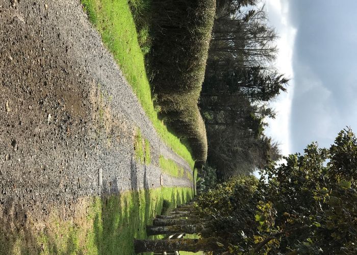  at 41 Ryan Road, Kingseat, Pukekohe