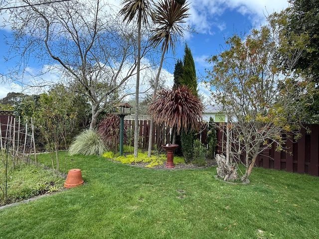  at 96 Fitzroy Avenue, Fitzroy, Hamilton, Waikato