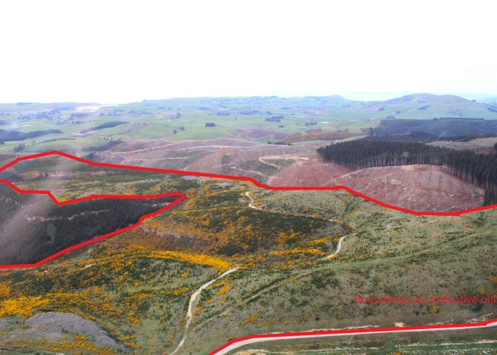  at Mount Trotter Road, Palmerston, Waitaki, Otago