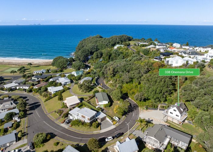  at 338 Onemana Drive, Onemana, Thames-Coromandel, Waikato