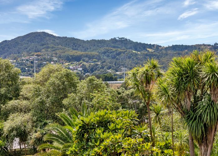  at 6 Madison Place, Morningside, Whangarei