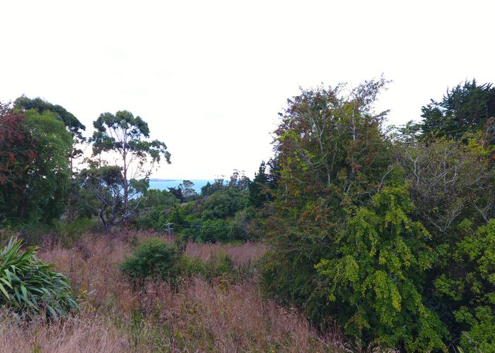  at 14 Tenby Street, Palmerston