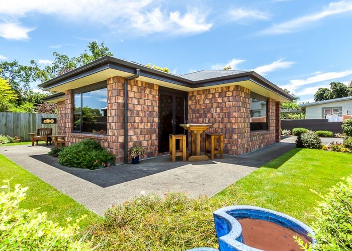  at 31 Frederick Street, Terrace End, Palmerston North