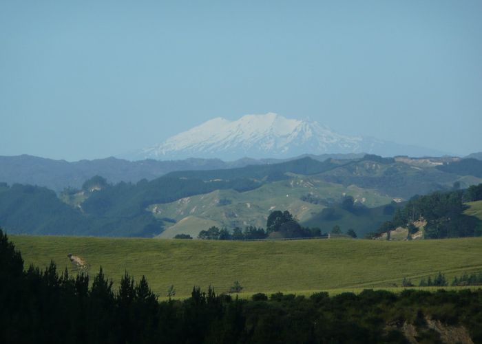  at 155 Mount View Road, Bastia Hill, Whanganui