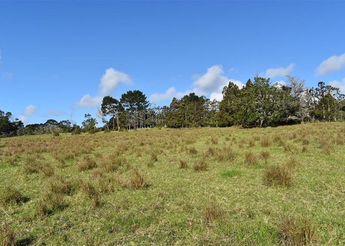  at 6 Coulter Road, Swanson, Auckland
