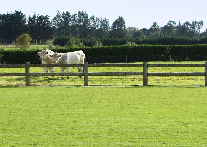  at 66 Wilcox Road, Seaward Bush, Invercargill