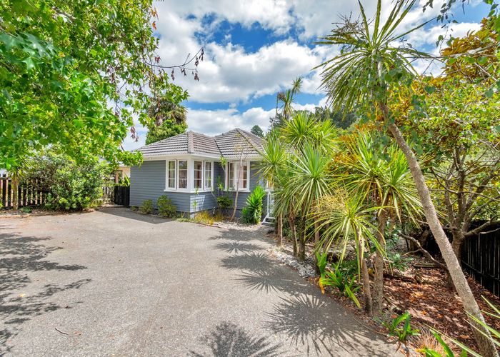  at 21 Birdwood Road, Swanson, Auckland