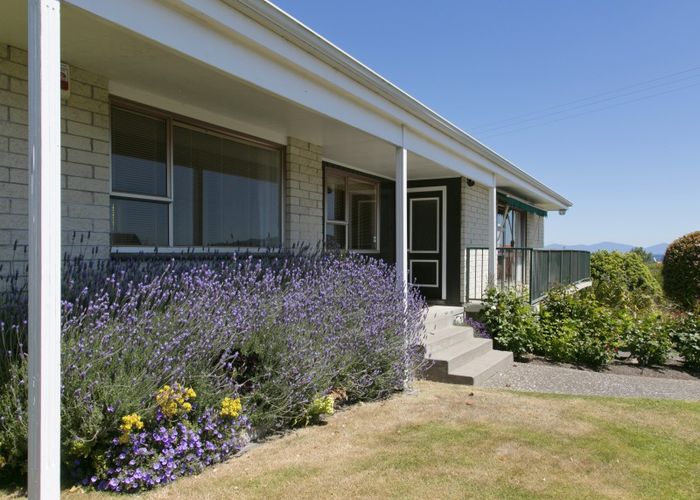  at 19 Harvey Street, Waipahihi, Taupo