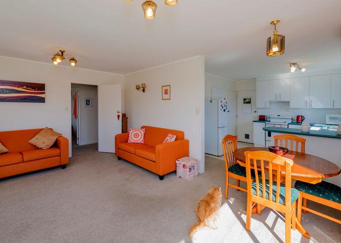 at 251 Belvedere Road, Carterton