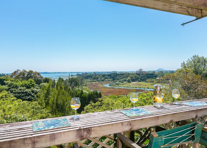  at 88C PAHOIA ROAD, Whakamarama, Tauranga