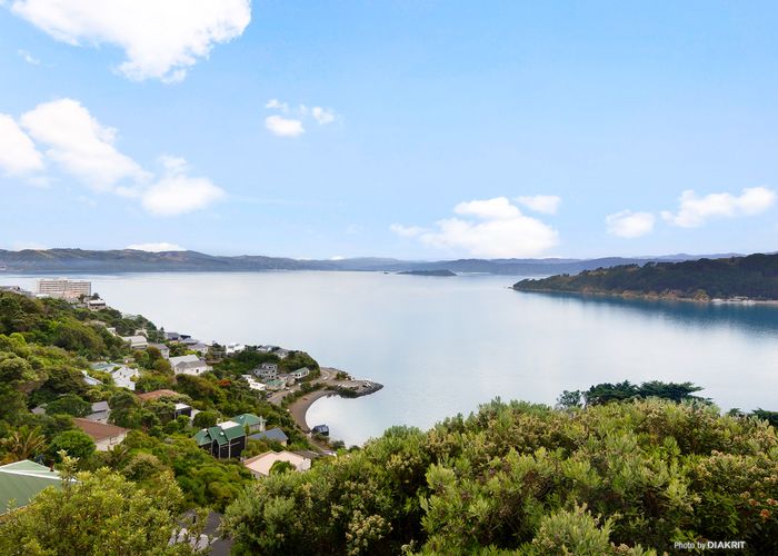  at 99 Grafton Road, Roseneath, Wellington