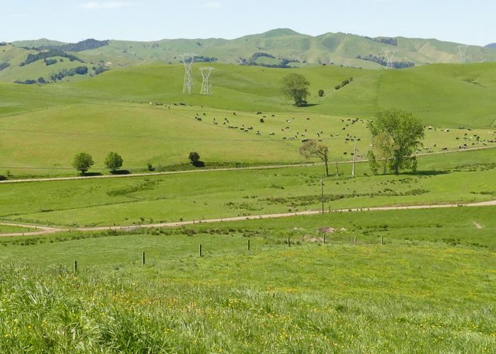  at 361 Martin Road, Waerenga