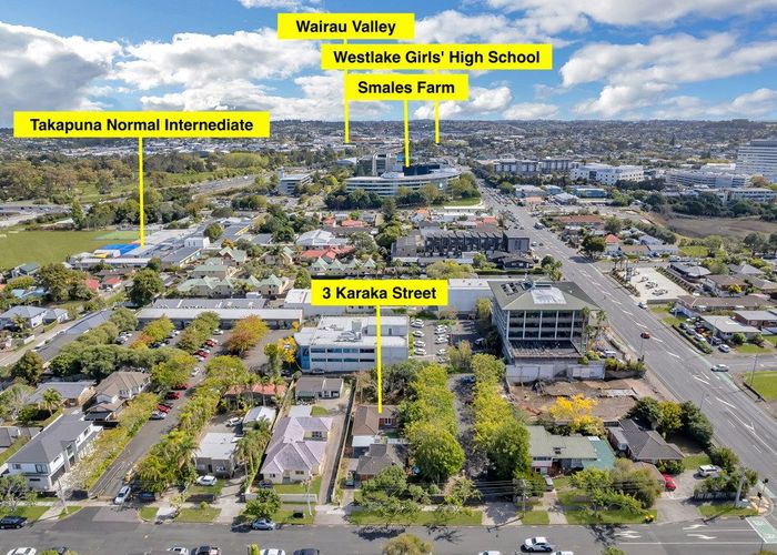  at 3 Karaka Street, Takapuna, North Shore City, Auckland