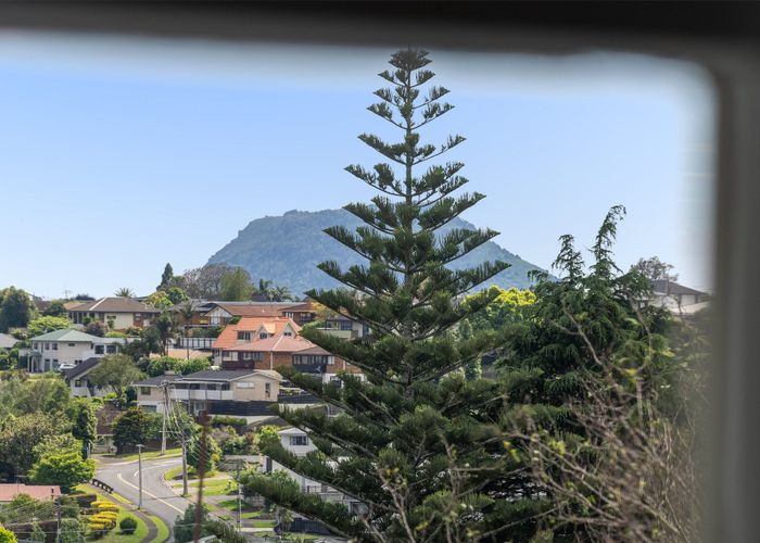  at 24 Upland Street, Brookfield, Tauranga