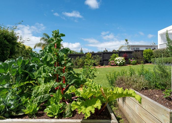  at 19 Betsland Crescent, Hillcrest, Auckland