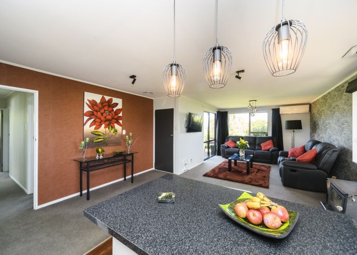  at 20 Leander Place, Milson, Palmerston North