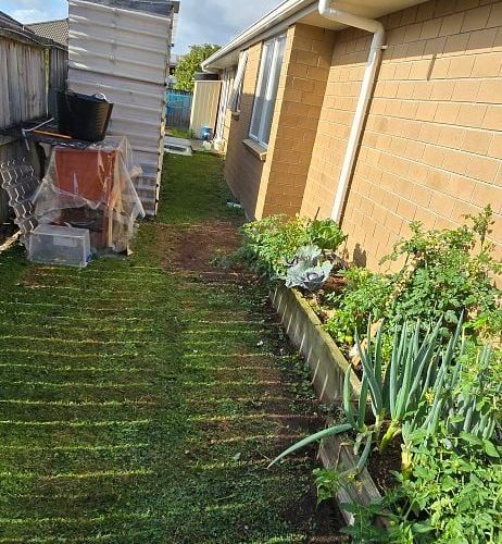  at 20 Harris Street, Ngongotaha, Rotorua, Bay Of Plenty