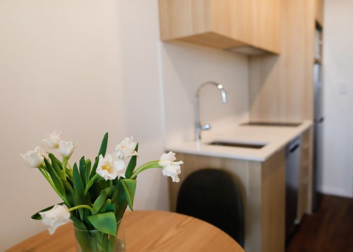  at 1205B Top Floor/20 Park Avenue, Ellerslie, Auckland City, Auckland