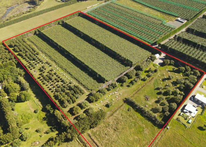  at 26 Capamagian Drive, Athenree, Western Bay Of Plenty, Bay Of Plenty