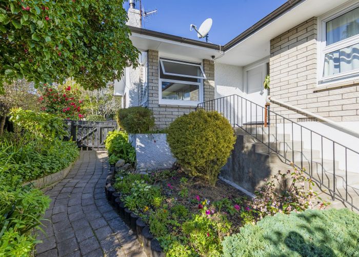  at 19 Selwyn Road, Havelock North, Havelock North