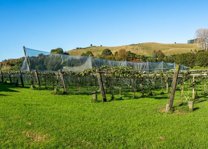  at 131 Crawford Road, Te Puna, Western Bay Of Plenty, Bay Of Plenty