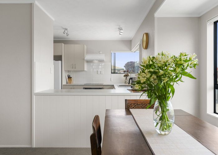  at 65A Gloucester Road, Mount Maunganui, Mount Maunganui