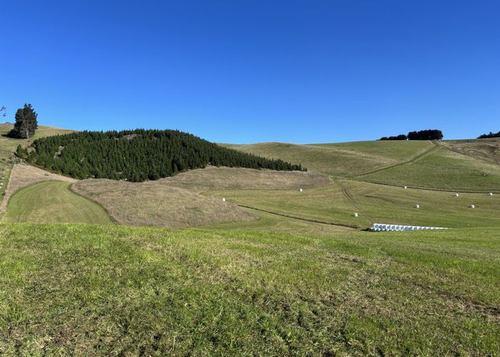  at Peaks Road, Windsor, Waitaki, Otago