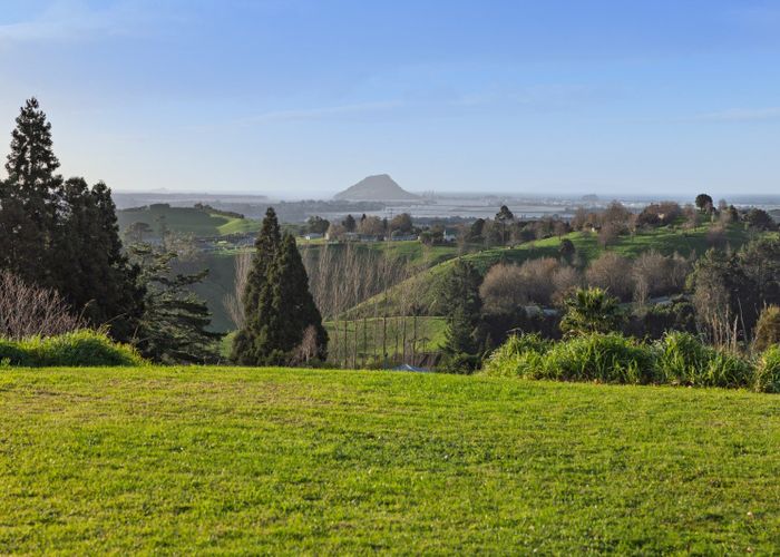  at 80B Neewood Road, Ohauiti, Tauranga, Bay Of Plenty