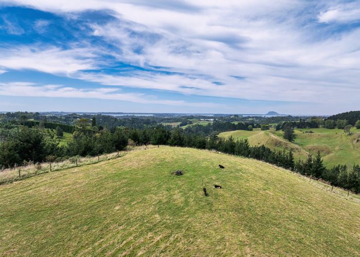  at 371 Esdaile Road, Whakamarama, Western Bay Of Plenty, Bay Of Plenty