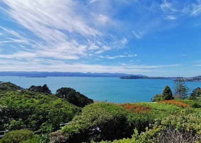  at 82 Calcutta Street, Khandallah, Wellington, Wellington