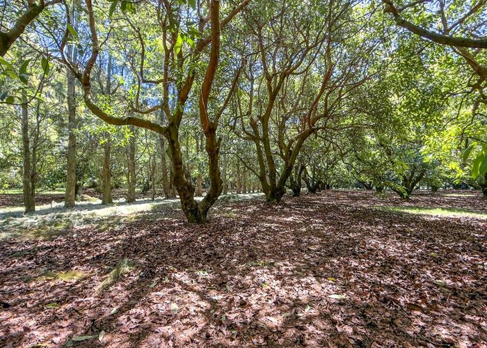  at 25 Orua Lane, Whenuakite, Thames-Coromandel, Waikato
