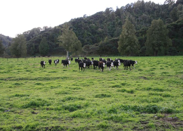  at 0n Mangaonga Road, Urenui, New Plymouth, Taranaki