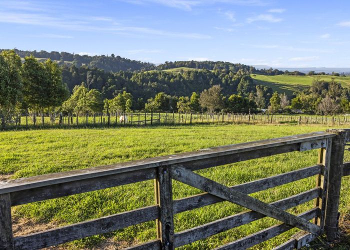  at 236A Tim Road, Whakamarama, Tauranga