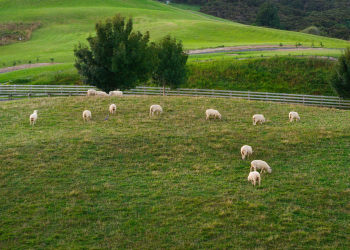  at 1 Ngaire Close, Wainui, Rodney, Auckland
