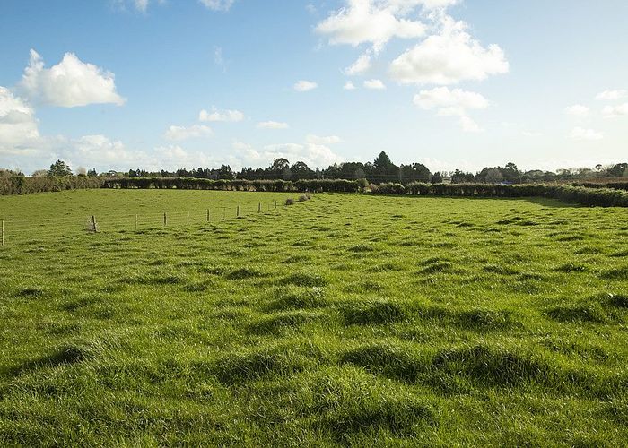 For sale 293 Gun Club Road, Pukekohe, Franklin, Auckland homes.co.nz