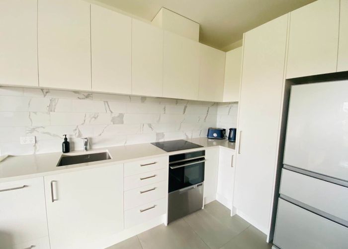  at 205/1B Oakley Avenue, Waterview, Auckland City, Auckland