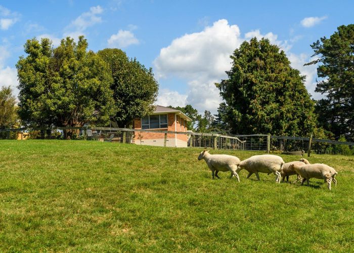  at 6C Mclaren Falls Road, Tauranga