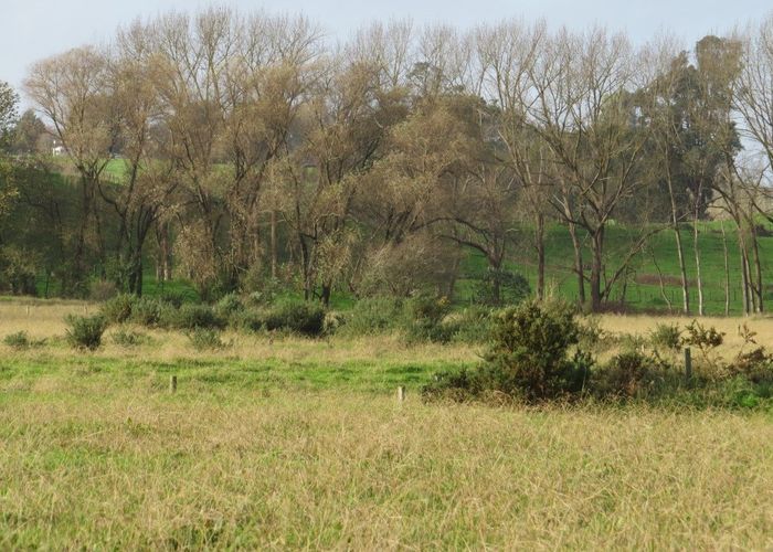  at 197 Walsh Road, Whatawhata, Hamilton