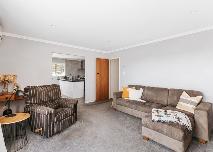  at 3 Cambridge Road, Judea, Tauranga, Bay Of Plenty
