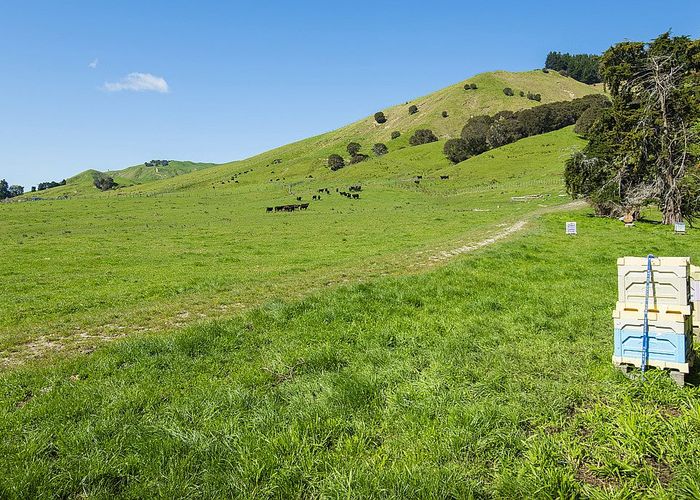  at 0 Wharekopae Road, Ngatapa, Gisborne